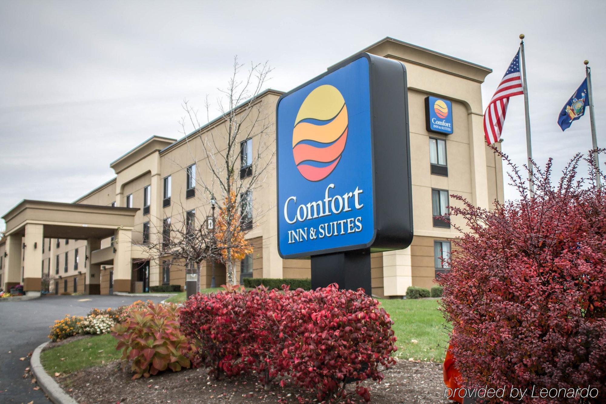 Holiday Inn Express & Suites - Albany Airport - Wolf Road By Ihg Kültér fotó
