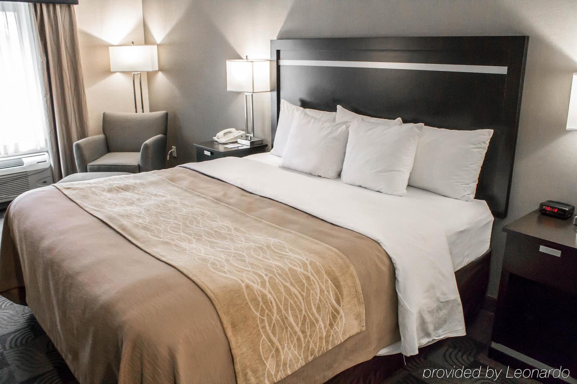 Holiday Inn Express & Suites - Albany Airport - Wolf Road By Ihg Kültér fotó