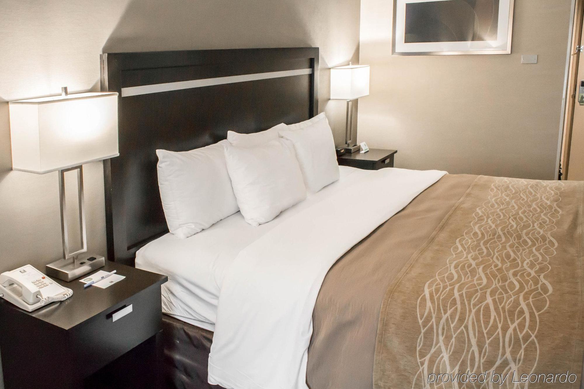 Holiday Inn Express & Suites - Albany Airport - Wolf Road By Ihg Kültér fotó