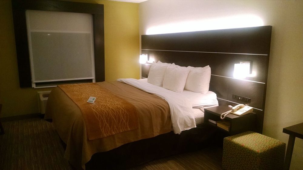 Holiday Inn Express & Suites - Albany Airport - Wolf Road By Ihg Kültér fotó