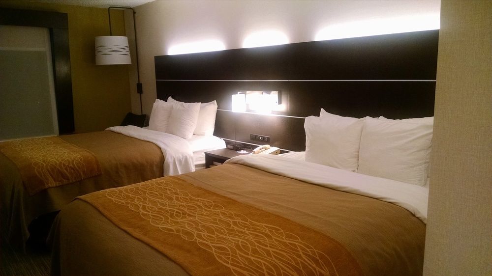 Holiday Inn Express & Suites - Albany Airport - Wolf Road By Ihg Kültér fotó